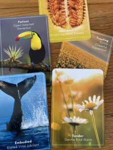 5 Nature of emotion cards demonstrating intention setting during a check-in